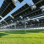 Agriculture et production d’énergie : retour vers le futur ?