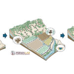 L’Hydrologie Régénérative : restaurer et régénérer les cycles de l’eau par l’aménagement des paysages.