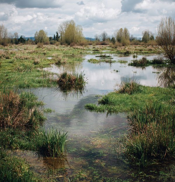 Analyse-pedologique-Inosium-3