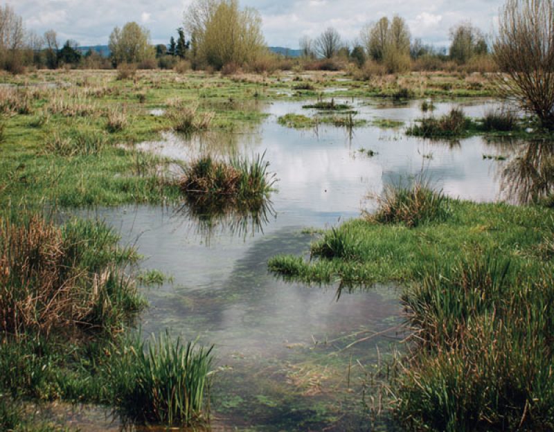 Analyse-pedologique-Inosium-3