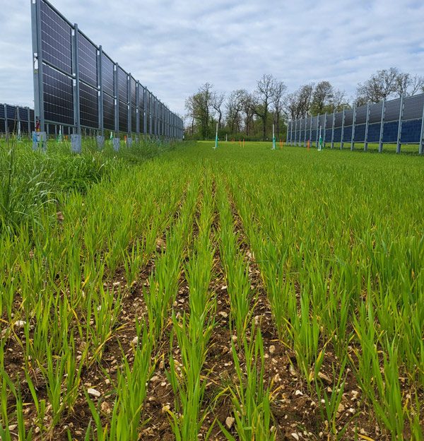 Grande-culture-Inosium