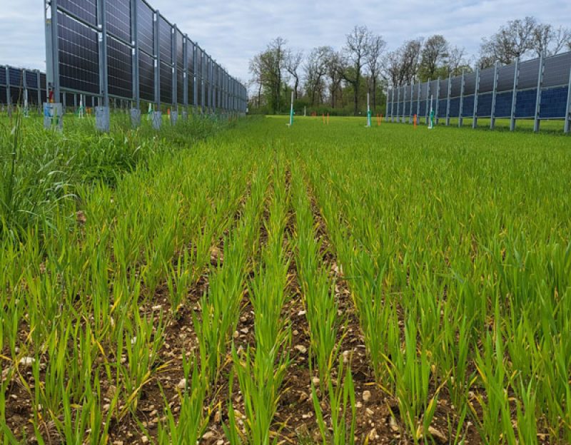 Grande-culture-Inosium